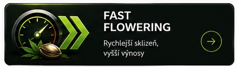 Fast semena