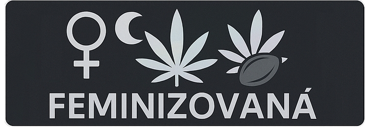Feminizovaná semena