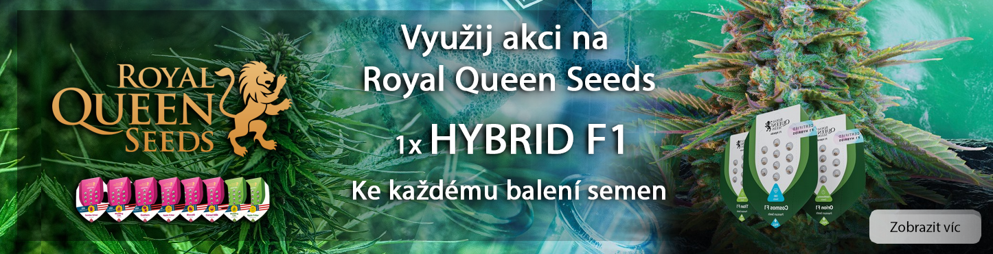 RQS Hybrid free