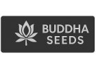 Buddha Seeds