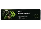 Fast