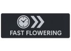 Fast