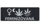 Feminizovaná
