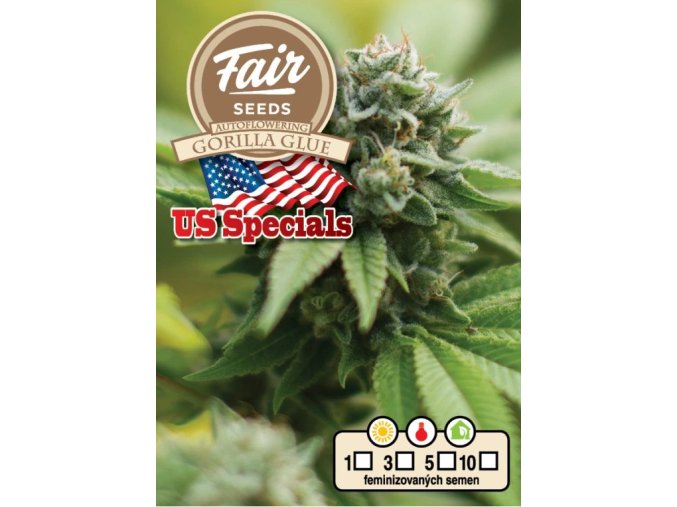Auto Gorilla Glue Autoflowering - USA Specials