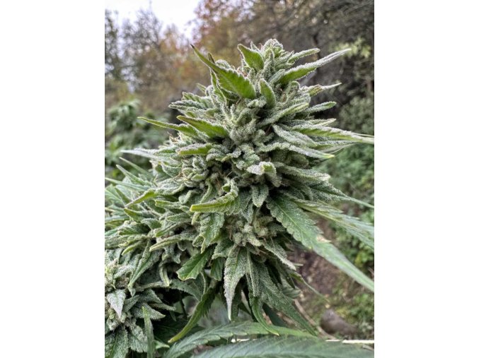 c72aa492 5aad 47b2 a1ca e05c62d494d2