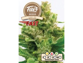 5421 fair seeds lsd 99 fast 2024