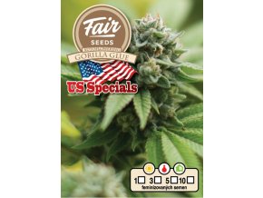 Auto Gorilla Glue Autoflowering - USA Specials