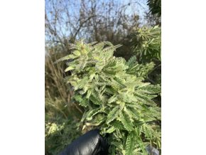 c0b34f9d e1b0 4e48 9aa5 f4aaa3e1abf0