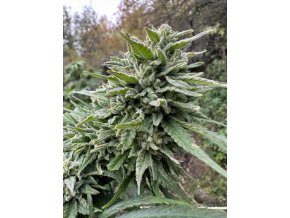 c72aa492 5aad 47b2 a1ca e05c62d494d2