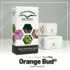 orange bud fem (1)