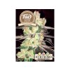 1647 fair seeds auto og kush 2024