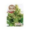 5421 fair seeds lsd 99 fast 2024