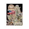 1707 fair seeds zkittlez 2024