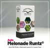 auto melonade runtz dutch passion (1)