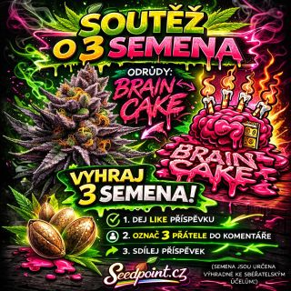 🔥 SOUTĚŽ O 3 SEMENA – BRAIN CAKE od Ripper Seeds🔥 🏆 Co můžeš vyhrát? 🎁 3× semeno odrůdy Brain Cake + samolepky atd....