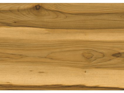 0250 Alpinemaple
