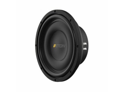 M10-FLAT-25cm-%2810-%29-plochy-subwoofer-300W-RMS