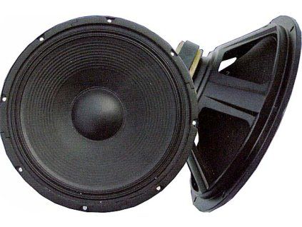 re12-100-8-12-basovy-100w-8ohm-obrazok-1