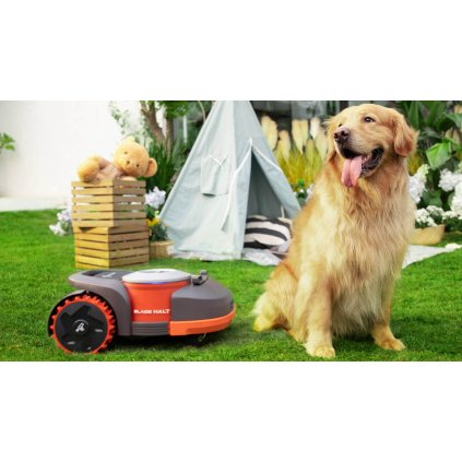 Segway Navimow automatic robotic mower 002
