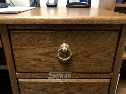 downloaded file (35)