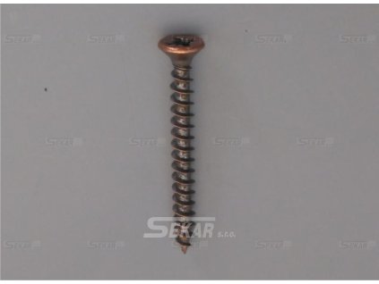 65022.04000.04 vrut patina 4x40