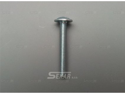 Ozdobný šroub metrický M4x35 Zn