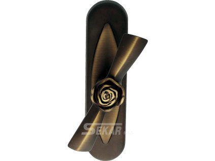 cat rose ma bm 0996