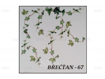 Dekor porcelánu 67 Břečťan