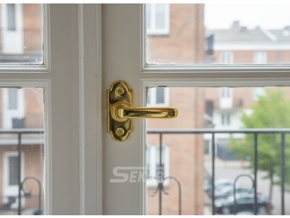 downloaded file (19)