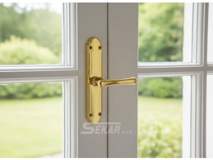 downloaded file (23)