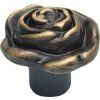 cat rose pb030 bm 0996