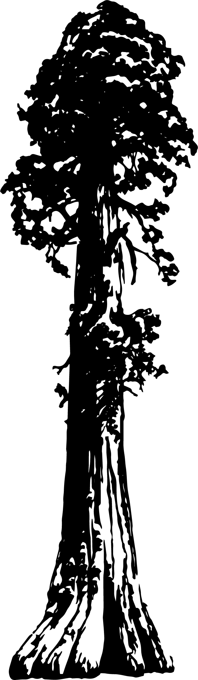 mamuti