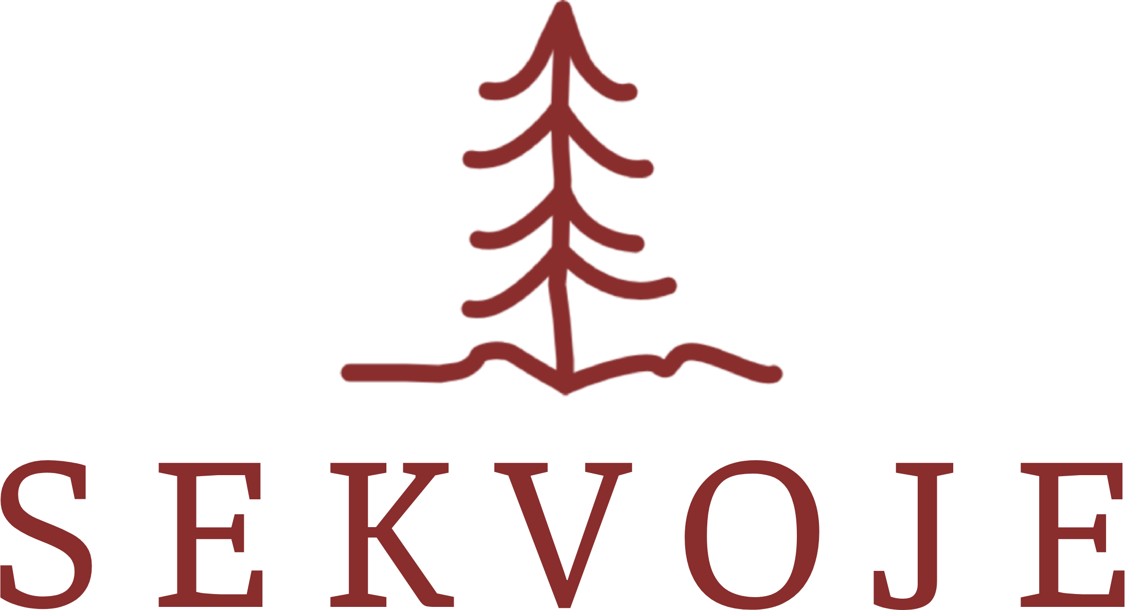 Sekvojovec Mamut Sekvoje