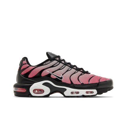Nike Air Max Plus 'All Day'