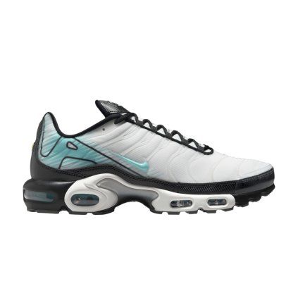 Nike Air Max Plus 'Mercurial Vapor'