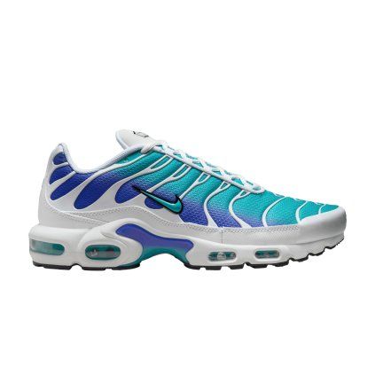 Nike Air Max Plus 'Dusty Cactus Persian Violet'