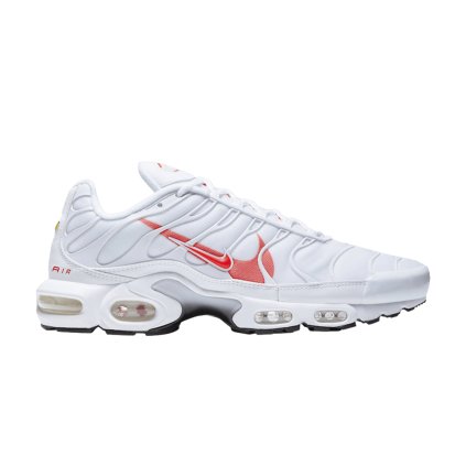 Nike Air Max Plus 'Double Swoosh'