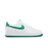 Nike Air Force 1 '07 'White Malachite'