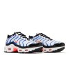 Nike Air Max Plus GS 'White Game Royal'