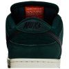 Nike Dunk Low Pro SB 'Deep Fir'
