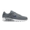 Air Max 90 'Jewel - Cool Grey Deep Royal'