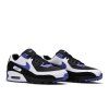 Nike Air Max 90 'Persian Violet'