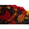The Wizard of Oz x Dunk Low SB 'Poppy Field'