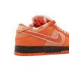 Concepts x Dunk Low SB 'Orange Lobster'