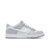 Nike Dunk Low GS 'Pure Platinum Wolf Grey'