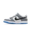 Nike Dunk Low GS 'Cool Grey Photo Blue'