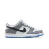Nike Dunk Low GS 'Cool Grey Photo Blue'
