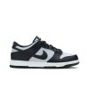 Nike Dunk Low GS 'Georgetown'