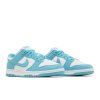 Nike Wmns Dunk Low Next Nature 'Dusty Cactus'