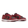 Nike Wmns Dunk Low Next Nature 'Team Red Black'